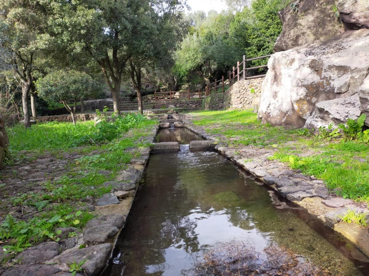Bauladu Sa Banita Affittacamere מראה חיצוני תמונה